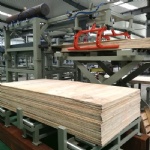 Plywood Sorter